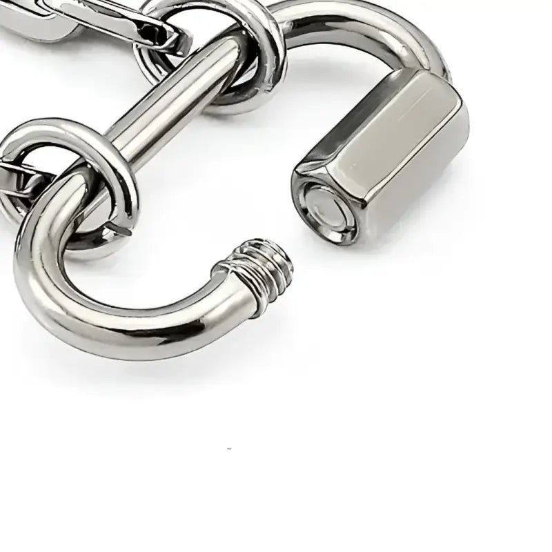 Trendy Oval Links Carabiner Necklace - Jewelry