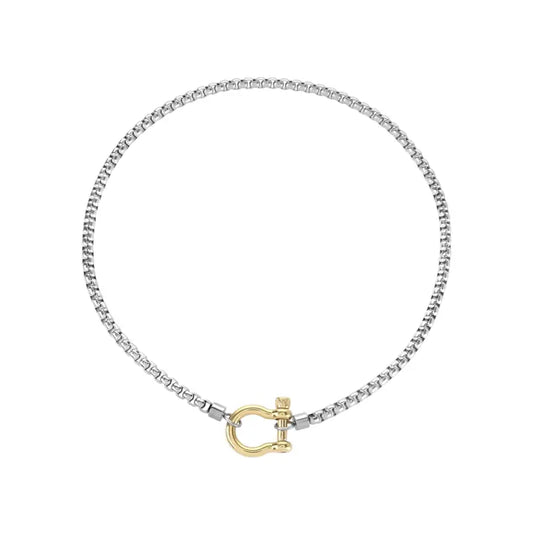 Horseshoe Box Chain Choker