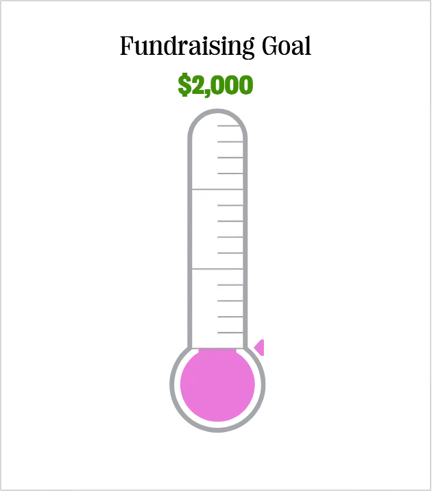 Silver thermometer with pink liquid and green scale